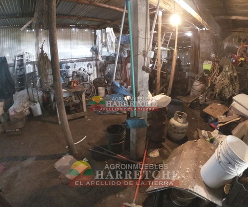 Imagen 29 de 30 de Chacra 10 Has En Venta Con Construcciones En Carrasco Del Sauce,