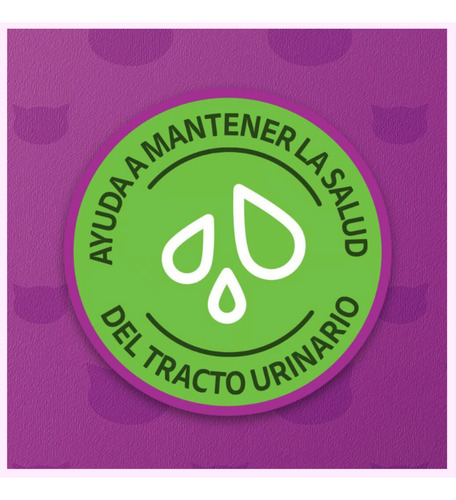 10 Latas Whiskas Paté Atún Para Gato Adulto 350gr