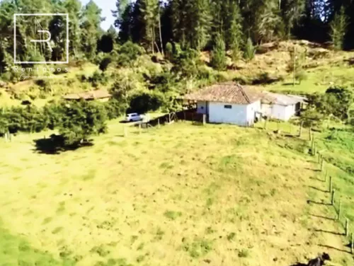 Lote En Venta En Rionegro. Cod V775995