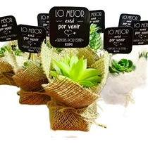 Comprar Regalo Suculentas Cactus, Recuerdo Promoción, Matri Misa Año