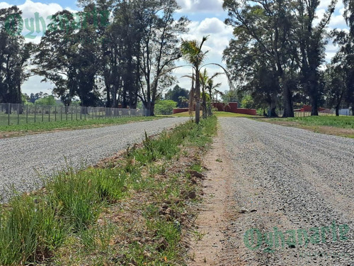 Imagen 2 de 18 de Oferta - Venta Lote En Tres Pinos - Gral. Rodriguez.
