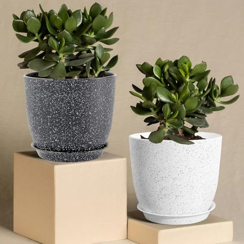 Conjunto De 4 Macetas Para Exteriores E Interiores, Macetero