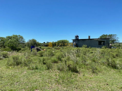 Campo Con Casa, Tajamar Monte Natural Muy Cerca De Aigua Consulte.- Ref: 1552