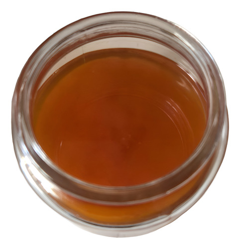 Adopta Un Scoby Para Hacer Kombucha