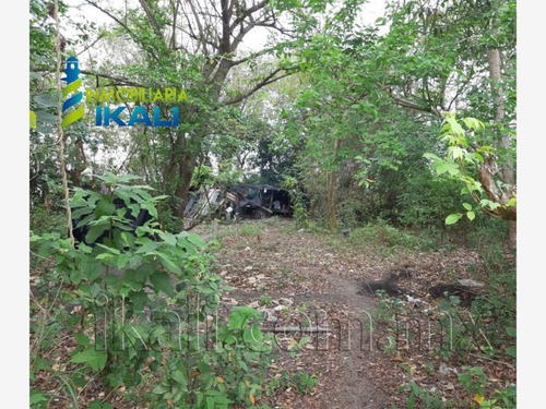 Imagen 8 de 10 de Terreno Comercial En Venta Primavera