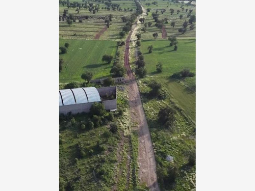 Imagen 2 de 4 de Terreno En Venta Las Pintas Has Crecer Tu Inversion