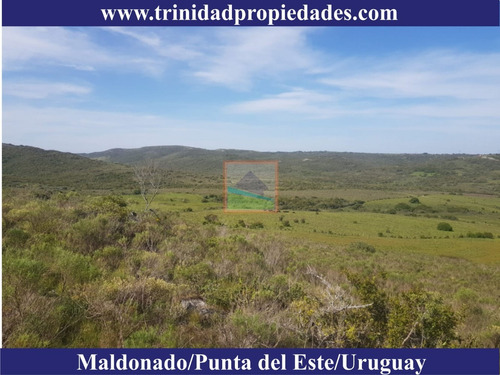 Imagen 6 de 10 de 86has Campo Turístico En Los Caracoles
