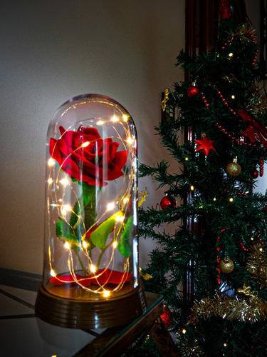 Luminária Cúpula Redoma A Bela E A Fera Rosa Osíria Cúpula Rosa Vermelha Estrutura Ouro-envelhecido
