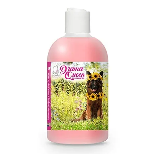 Gsd shampoo outlet