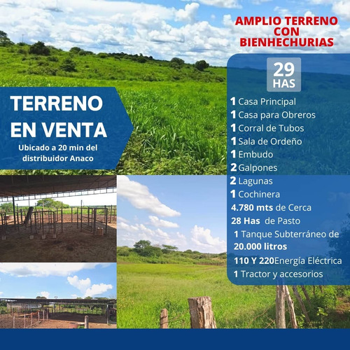 En Venta Finca En Aragua De Barcelona Estado Anzoategui