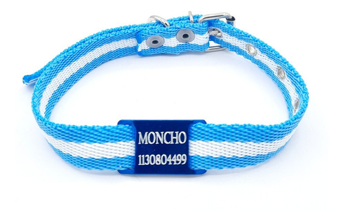 Chapita Perros Pasador Azul 2cm + Collar  Argentina Mundial