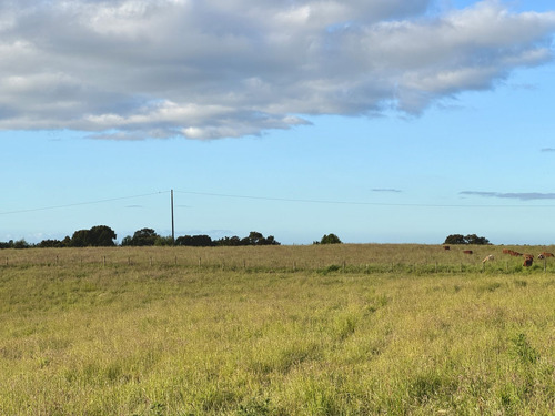 Chiloé Exclusivo: Praderas De Caipulli - Lotes Con Electrici
