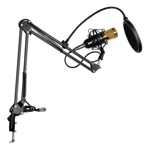 Kit Profesional Microfono Condensador Grabación Estudio,ktv