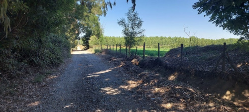 18 Hec Oportunidad Se Vende Terreno Agrícola Retiro Talca