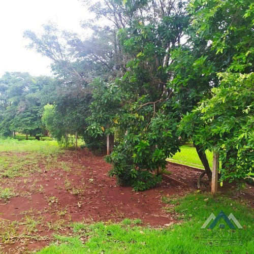 Imagem 22 de 30 de Chácara No Dom Pedro I, Com 2 Dormitórios À Venda, 10010 M² Por R$ 768.000 - Dom Pedro I - Londrina/pr - Ch0159