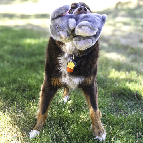 Kong Conejo Toughz Juguete Peluche Para Perro Color Gris