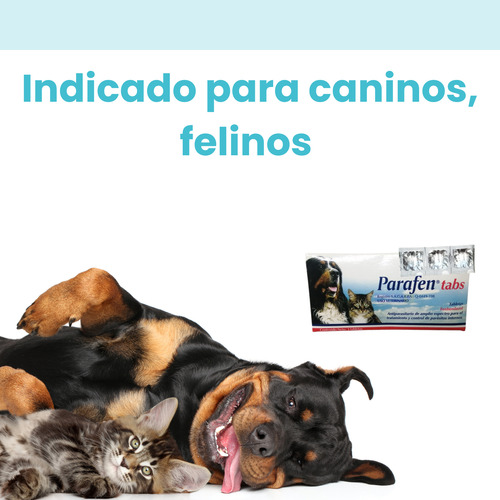 Tableta Desparacitante Para Perros Y Gatos 3 Sobres