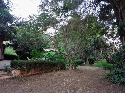 Imagen 6 de 17 de Terreno En Venta En Emiliano Zapata, Cuernavaca, Morelos