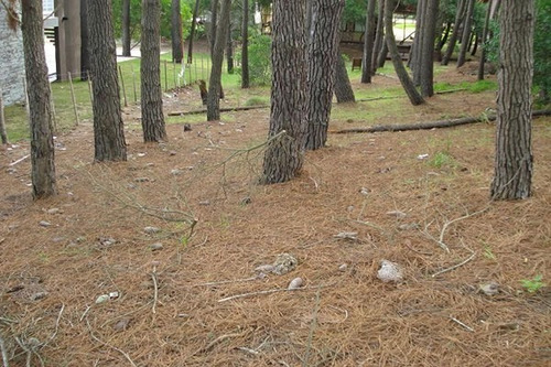 Imagen 3 de 3 de Lote Ubicado En Cull De Sacc Cuenta Con 450m2 Zonificaciòn Unifamiliar A 3 Cuadras Del Mar
