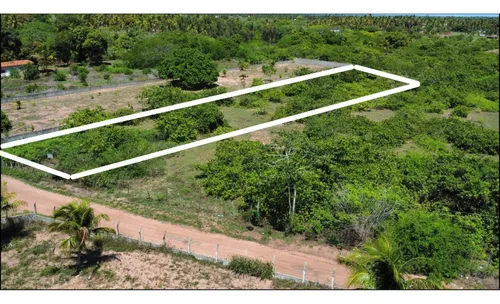 Lote 19×114