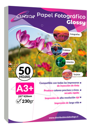 Papel Fotografico Glossy Brillante A3+ 33x48 230gr 50 Hojas