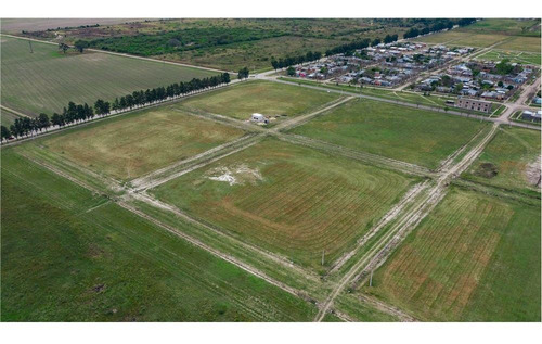 Imagen 8 de 11 de Terrenos En Venta Loteo Vicentin Avellaneda