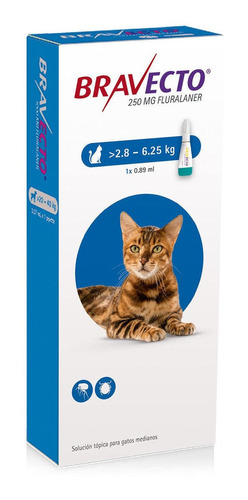 Bravecto Anti Pulgas e Carrapatos Para Gatos de 2,8 A 6,25 Kg Pipeta Antipulgas