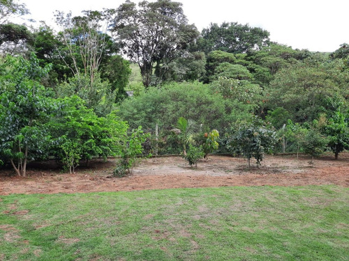 Imagem 28 de 28 de Novíssimo Apartamento Próximo Ao Centro De Poços.! - Mg - Ap0098_debom
