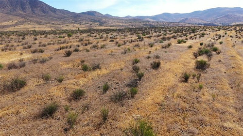 Venta Terreno De 11 Ha En Higueritas Unidas, Ovalle