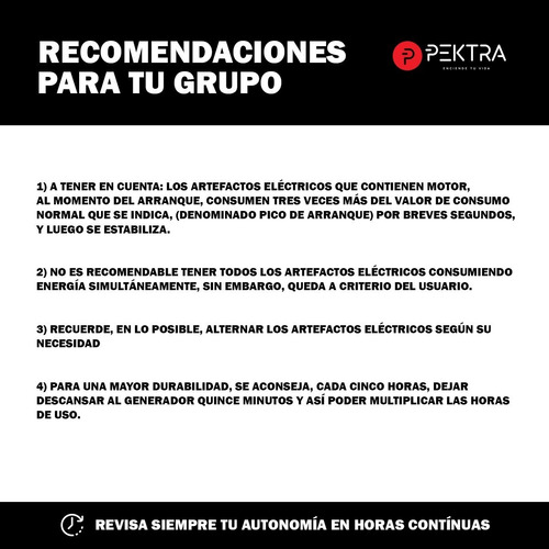Imagen 7 de 10 de Grupo Electrogeno Generador Pektra 2.2kva 5.5 Hp Nafta