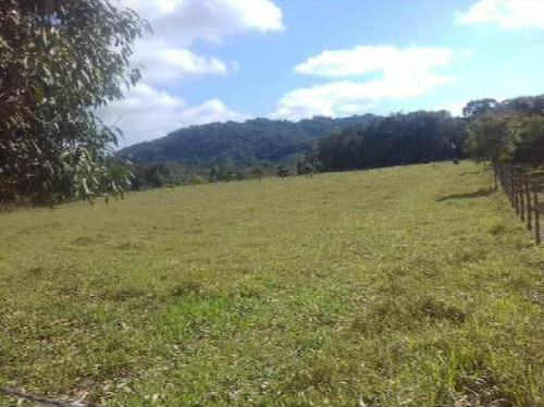 Imagem 5 de 6 de Vende Se Um Terreno Grande Em Iguape Sp