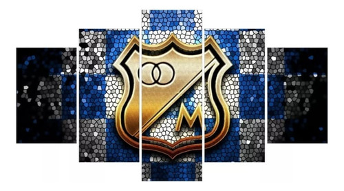 Cuadros Decorativos Modernos Equipo De Fútbol Millonarios Fc