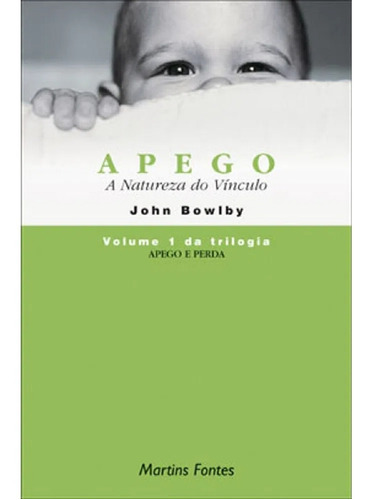 Livro Apego E Perda