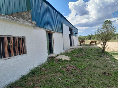 Imagen 8 de 10 de ¡imperdible! Galpón Depósito 500 M2 Alquiler En Villa Cura Brochero