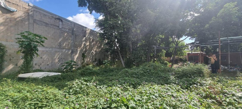 Local Comercial Sobre Correa Racho, Con Terreno Adicional Para Proyecto De Oficinas, 84m2