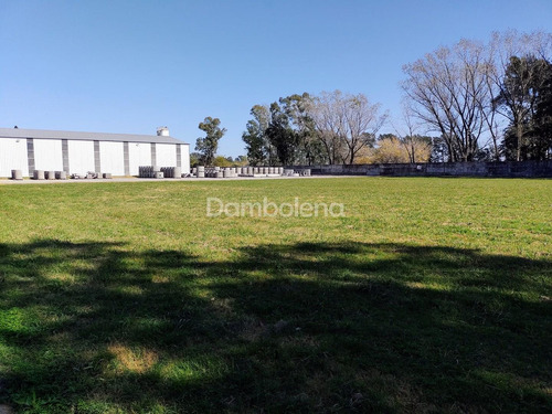Imagen 9 de 30 de Depósito Galpón En Venta Ubicado En General Rodríguez, G.b.a. Zona Oeste, Argentina