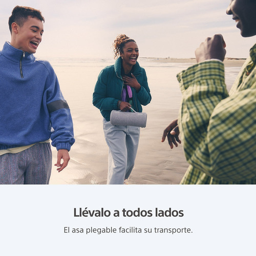 Parlante Bluetooth Portátil Inalámbrico Sony SRS-XG300 Negro