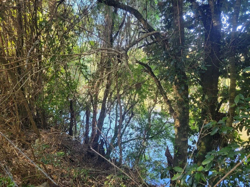 Parcela En Hacienda Aguas Del Maullin