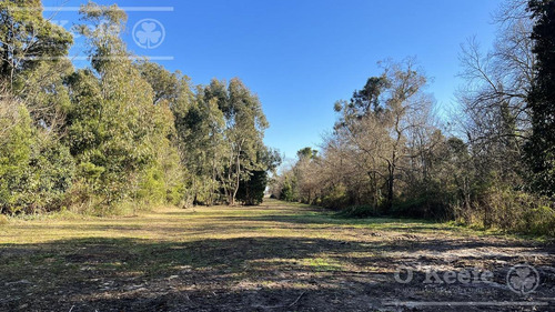 Imagen 16 de 21 de Barrio Privado Aires De Hudson - Lote En Venta