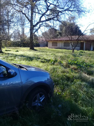 Chacra - Canning (ezeiza)