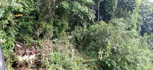 Terreno De Chácara Com Escritura E 1107m² 7864