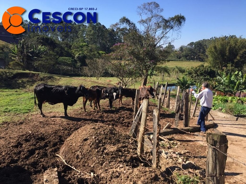 Imagem 11 de 26 de Chacara - Ch00012 - 31910680