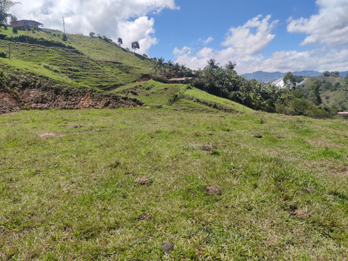 Ganga Lote En El Peñol Vereda El Marial