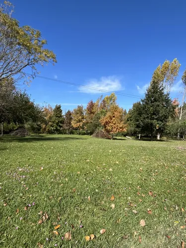 Hermosos Lotes En Venta En Una De Las Colonias Más Bonitas Del Departamento Colón Los Lotes Están Forestados Y Cuentan Con Agua, Luz Y Conexión A Internet Por Fibra Ópticas Con Salida Al Río Uruguay