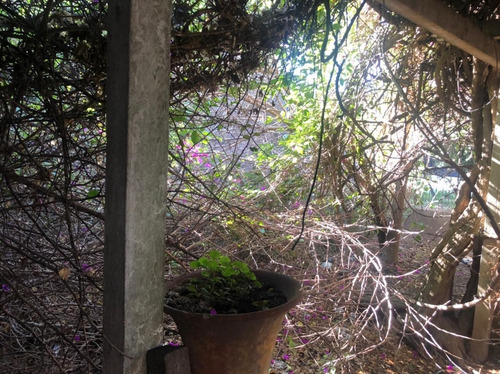 Imagen 14 de 16 de Terreno En Venta En San Miguel