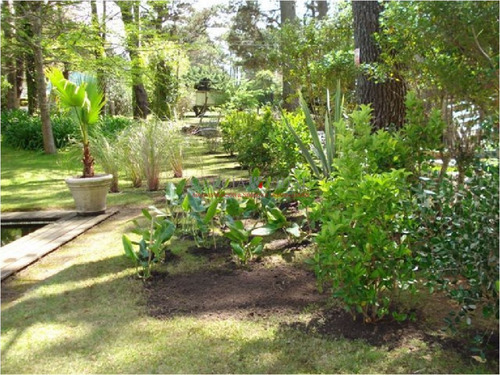 Casa En Venta Y Alquiler Zona Golf, Punta Del Este, 4 Dormitorios- Ref: 2824