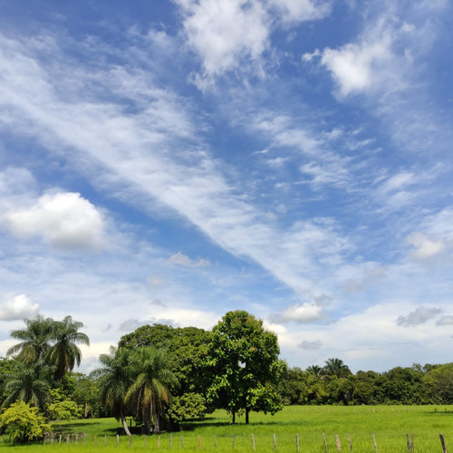 Estado Barinas Se Vende Finca Ganadera Yep11