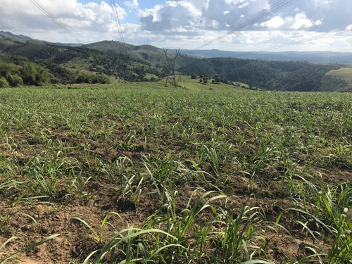 Imagem 9 de 15 de Fazenda Para Venda Em São Benedito Do Sul, Zona Rural - In - 006_1-2014337