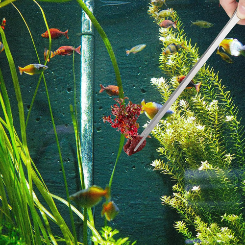 Juego De Pinzas Rectas Y Curvas Para Acuario, 2 Uds., Para
