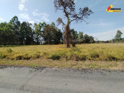 Imagem 15 de 30 de Chácara À Venda, Cachoeirinha - Divinópolis/mg - 47247